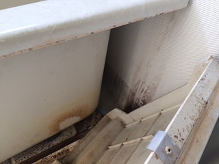 これってゴキブリ？お風呂場で見つけて、マジでパニクってるんだけど : r GermanRoaches