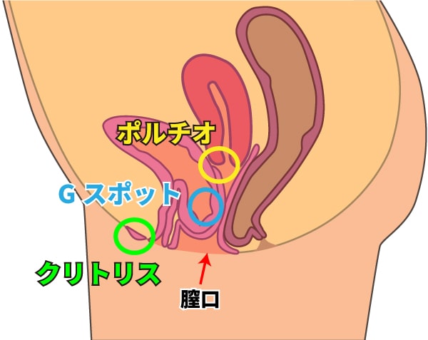 女性のオナニーにおすすめ！人気の大人のおもちゃ・道具をご紹介【初心者でも気持ちいい♡】 | オトナのハウコレ