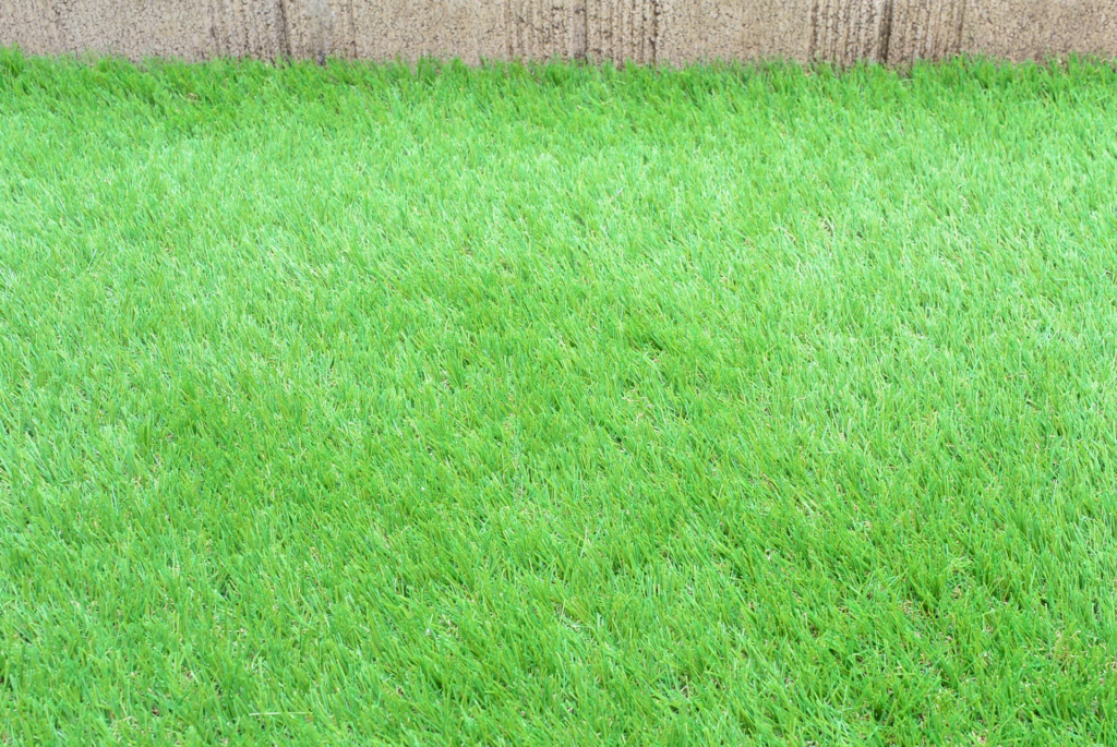 草むしり不要で虫もいない人工芝のお庭！！施工事例東京23区・千葉の人工芝施工専門店 Green Forever