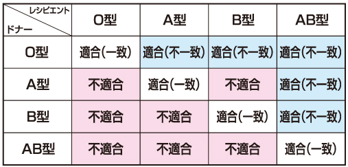 自己血貯血について東京・世田谷での出産・分娩なら国立成育医療研究センター 産科