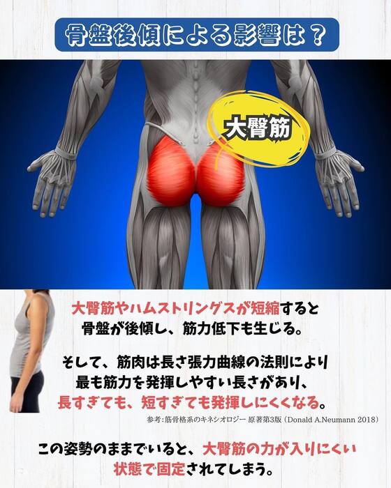 骨盤の傾きは前傾や後傾だけではないブログ女性に人気 代々木のパーソナルトレーニングジムKENBI