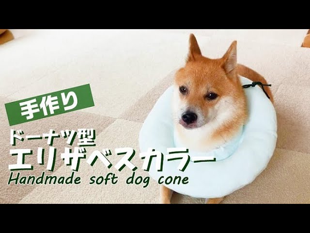 選べるレッスン エリザベスカラ