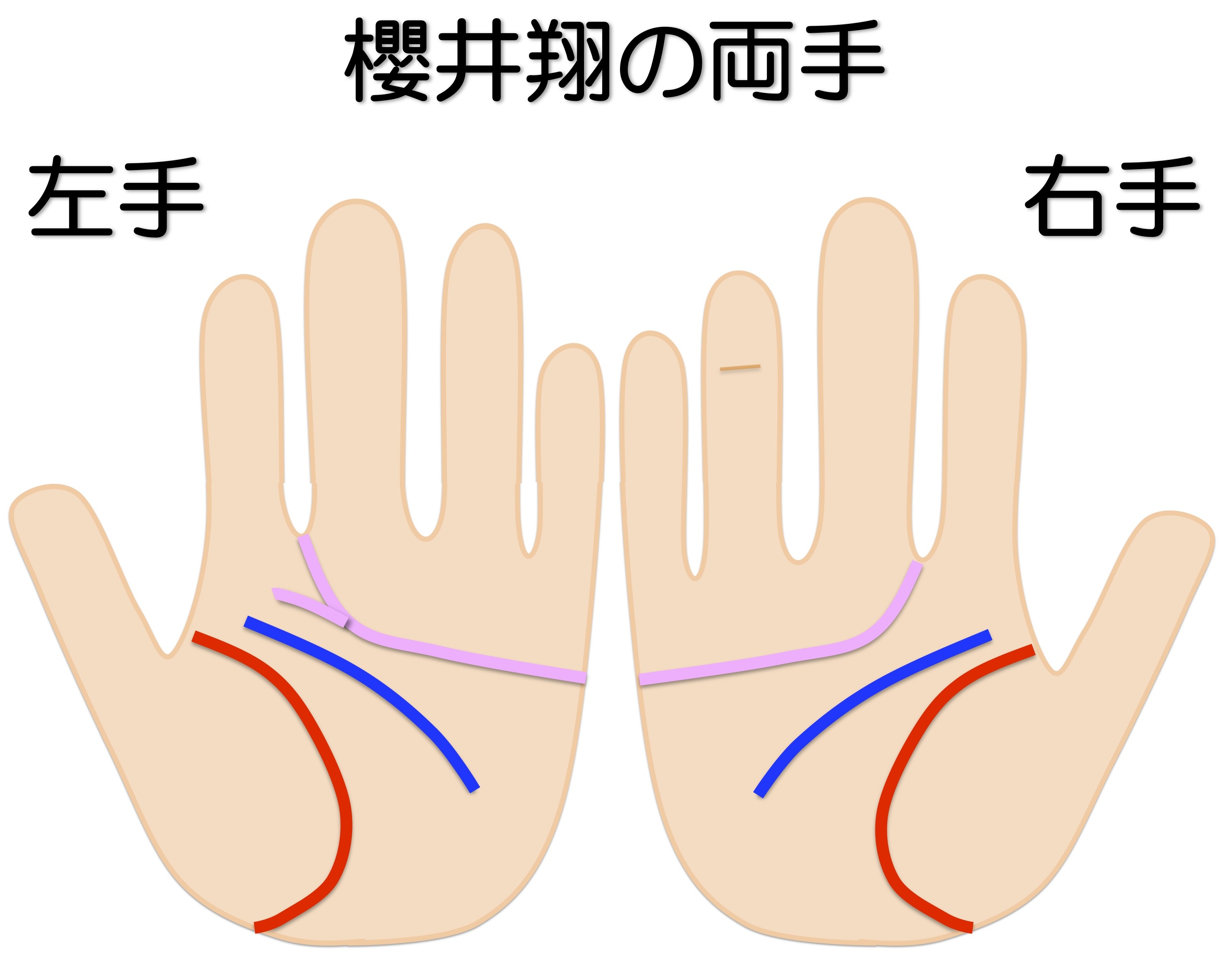 手相の良い線と悪い線とは？基本の七大線と幸運の前兆を解説諒設計アーキテクトラーニング