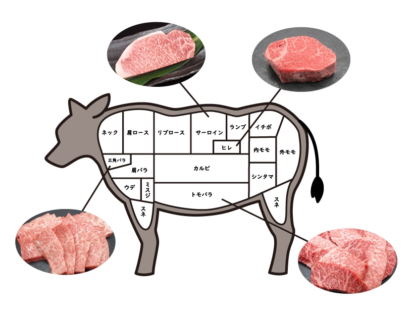 サガリ」と「ハラミ」の違いは?1分で読める!!違いは?