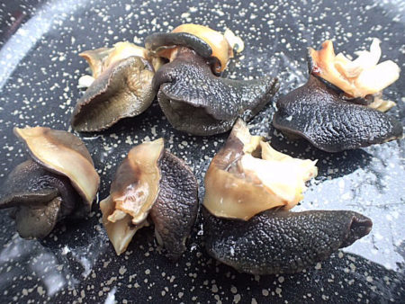 広東住血線虫症