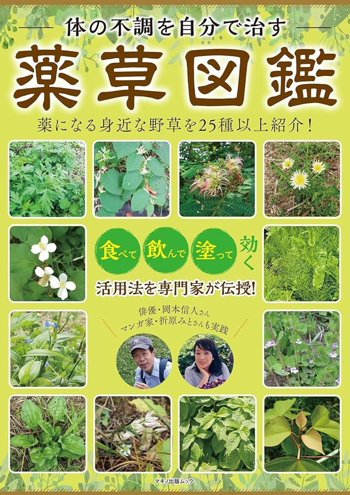 200倍濃縮アロエベラパウダー手作りコスメの店リンガリンガソープ