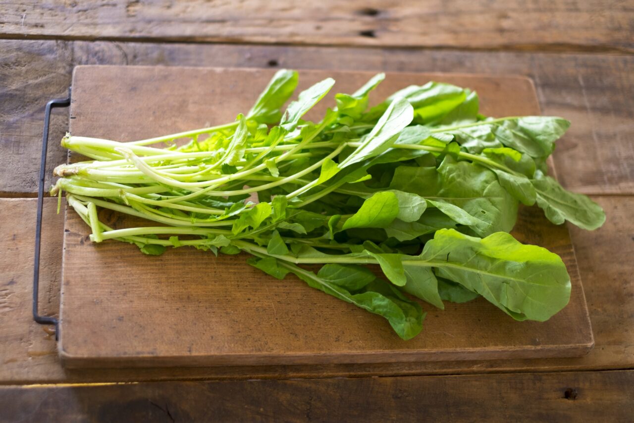 ルッコラの育て方プランター栽培・水耕栽培の方法を解説しますとなりのカインズさん