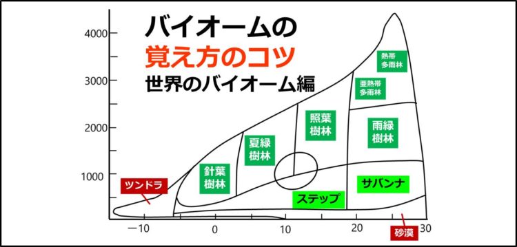 Mechanism of action of thyroid hormonesillustrated and easy tounderstand- YouTube