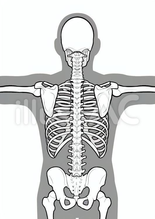 あなたはどのタイプ？ ぽっちゃりさん向け骨格診断・似合うファッションスタイリング・髪型 ヘアスタイル