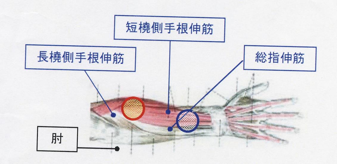 公認心理師 2022-12 - 公認心理師・臨床心理士の勉強会