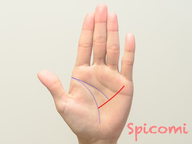 基本の頭脳線コワイほど当たる！ 手相占い芸人・島田秀平さんの最強手相占い！占いnon-no web