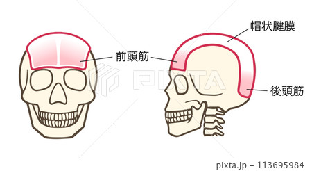 医院ブログひらの歯科クリニック