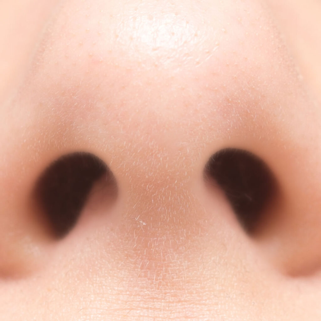 小鼻を自力で小さくする方法とは？医師が解説金沢の美容外科はeクリニック