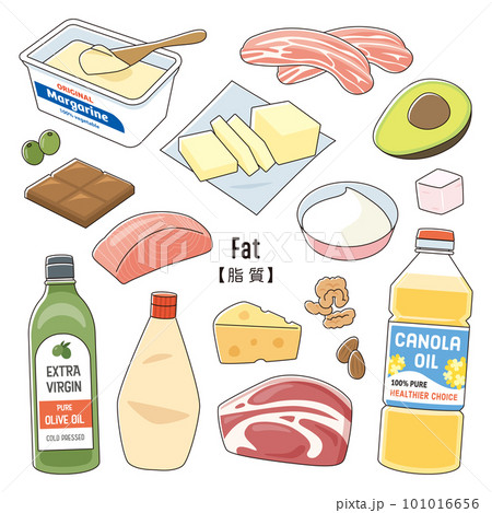 脂質 は不要 は間違い⁉スポーツクラウド‐Sports Crowd