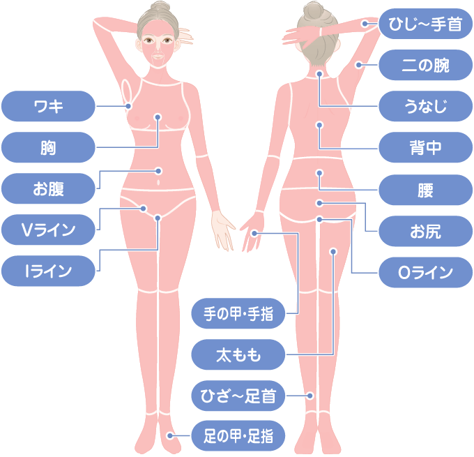 女性医療脱毛部位美容外科・美容皮膚科ならラミュー・中央クリニック