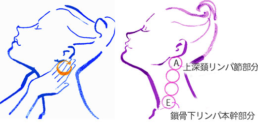 完全版 マジで寝てる間に痩せる！お腹のリンパマッサージ！寝る前にやって下さい！ - YouTube