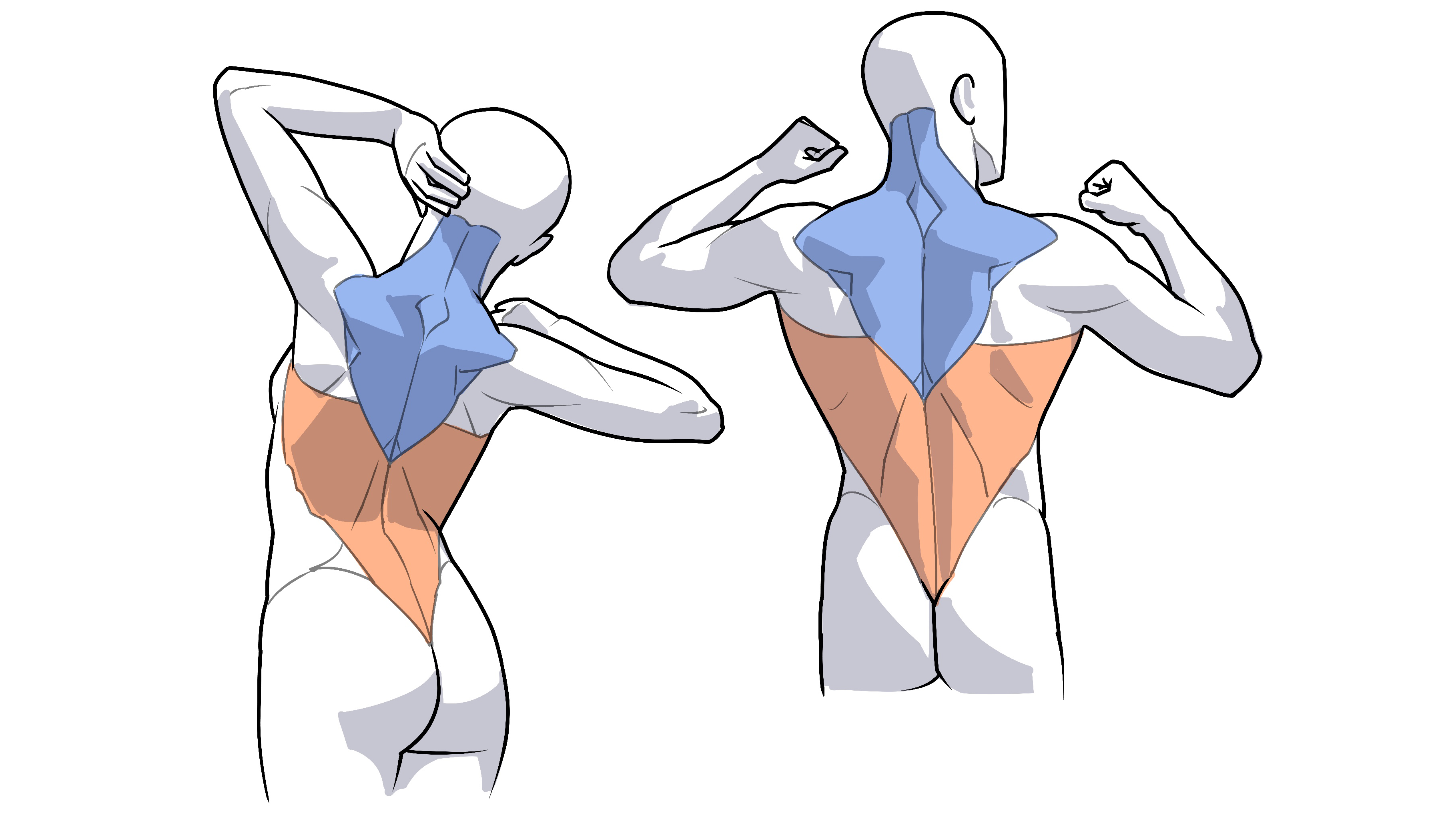 人物の筋肉構造と描き方のコツ〜人物を筋肉で捉えるオンライン講座アートスクール オンライン講座 好きを学んで夢カタチに
