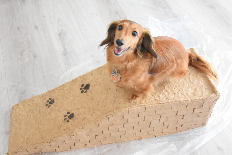 100均でペットステップを手作り - キャバリアもちの毎日