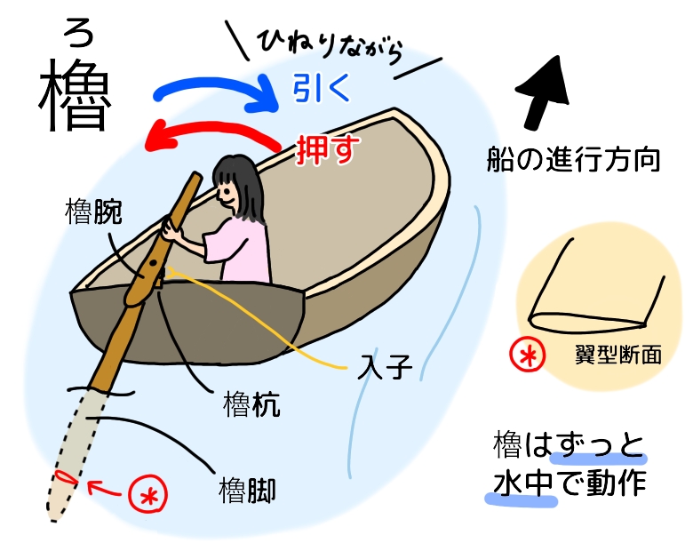 人力で船をこぐ！櫂(かい)と櫓(ろ)の違い