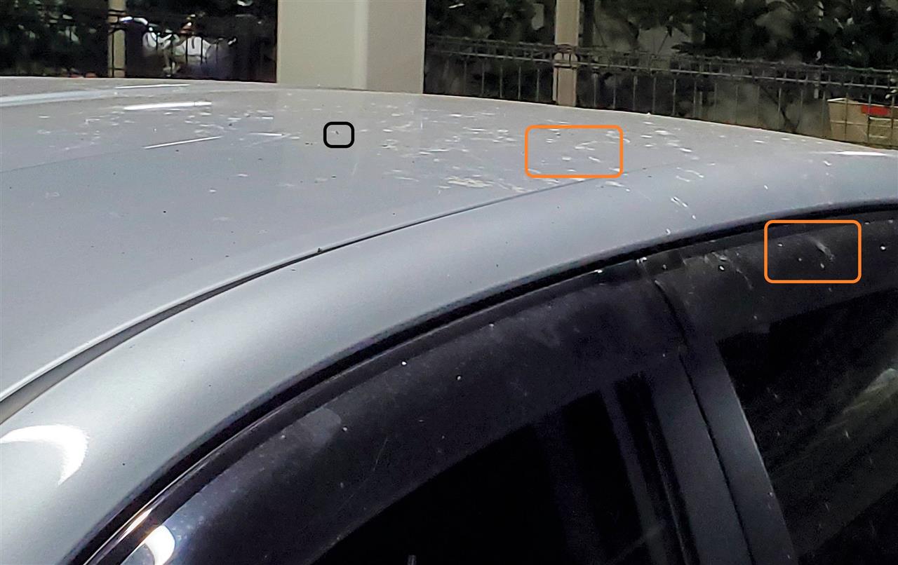 腐ったクモから糸を引き出すと