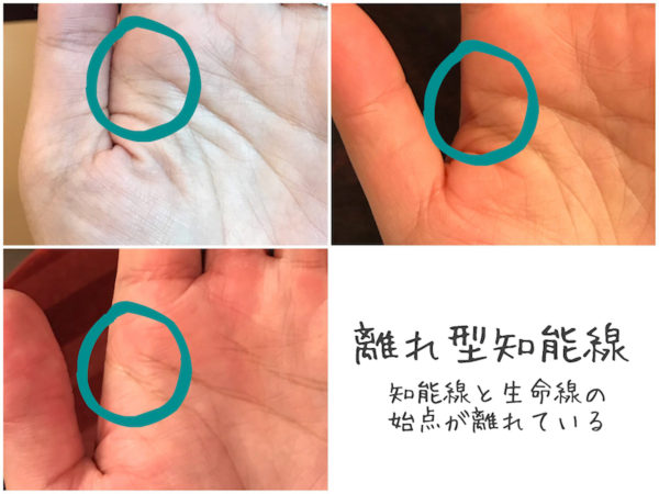 離れ型手相の特徴と意味行動力と成功への近道TikTok