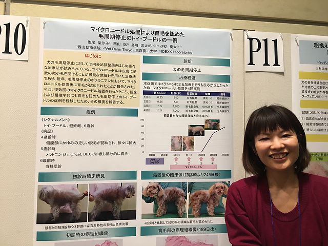 講師紹介dAm犬猫皮膚アカデミー 公式