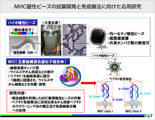 グローバルバイオチップ製品市場ーサイズ調査、タイプ別 DNAチップ、ラボオンチップ、タンパク質チップ、その他のアレイ 、製造技術別、エンドユーザー別、地域予測2020-2026年LAMORI PRIVATE LIMITEDのプレスリリース