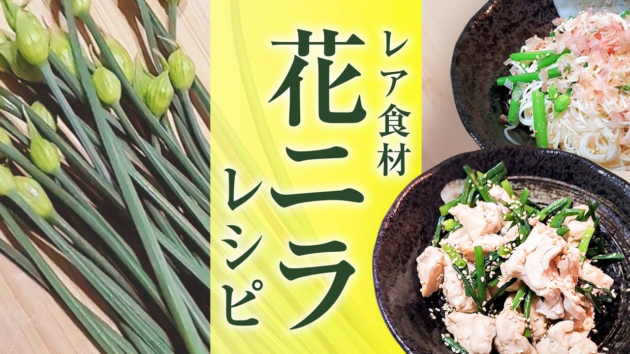 ニラ和方医学研究所株式会社