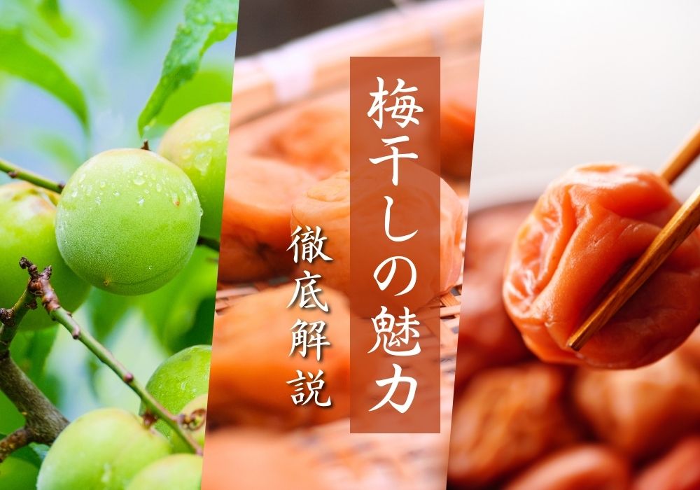 株式会社いなみの里梅園テレビでも話題に!梅干の有効成分がぎっしり詰まった健康食品「梅エキス」純100%