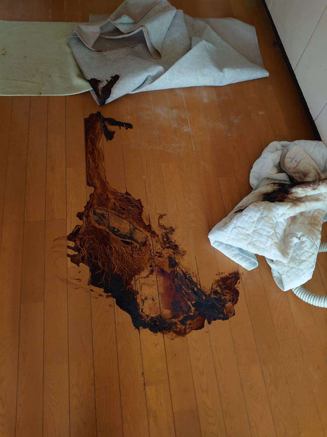 若者の孤独死！？」最近は意外と多いのです。様々な事例を踏まえてゴミ屋敷や特殊清掃に関する知識を徹底解説しています愛知の遺品整理ならこころテラス東海