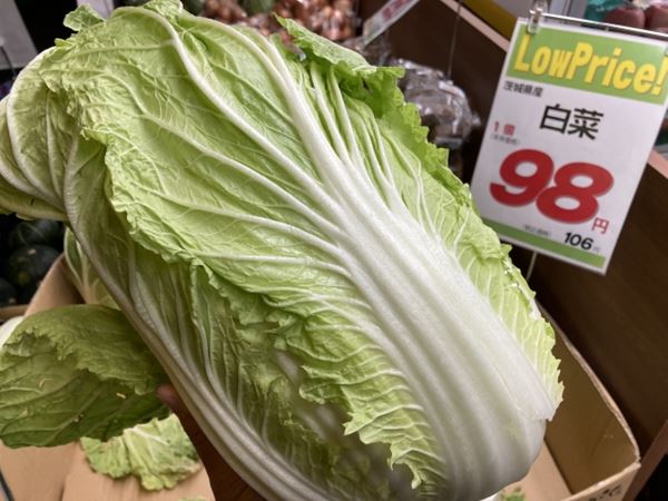 捨てるところなし！白菜のすべてを活用する究極のレシピと健康ガイド