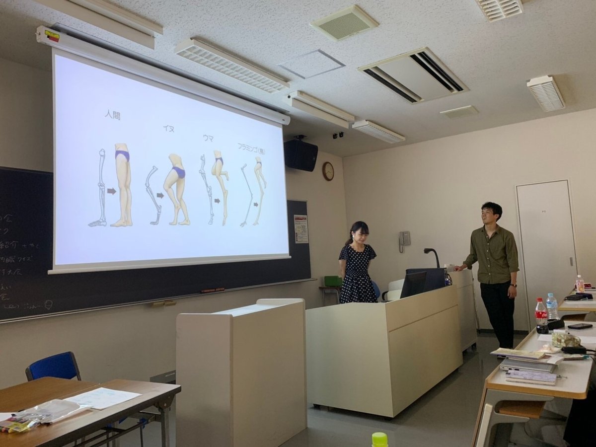 チーム医療体制わかばの仕事北斗わかば病院の求人情報・採用情報サイトです。看護師やリハビリスタッフの募集要項を逐一更新中