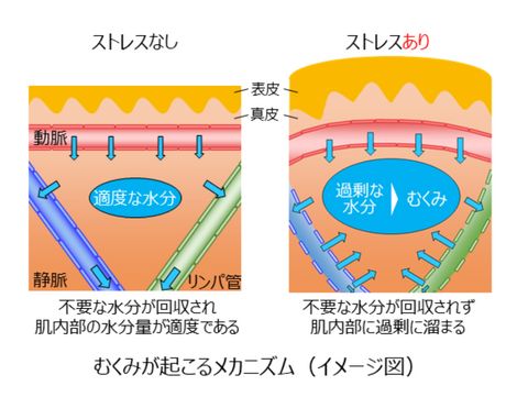 朝の顔パンパンやな」