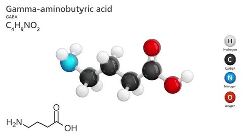 ２０２１年１１月２５日 木後期アフタースクール 大学の有機化学実験 ５回目