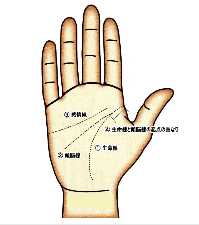 第15回 レアな手相 １発見！琉球手相術の祖2ぷらっと沖縄沖縄の「見たい」「楽しみたい」に応える地域密着型情報サイトです