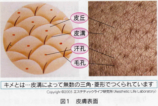 表皮角質水分計検索結果一覧公設試験研究機関 人間生活工学機器データベースサイト DHuLE デューレ