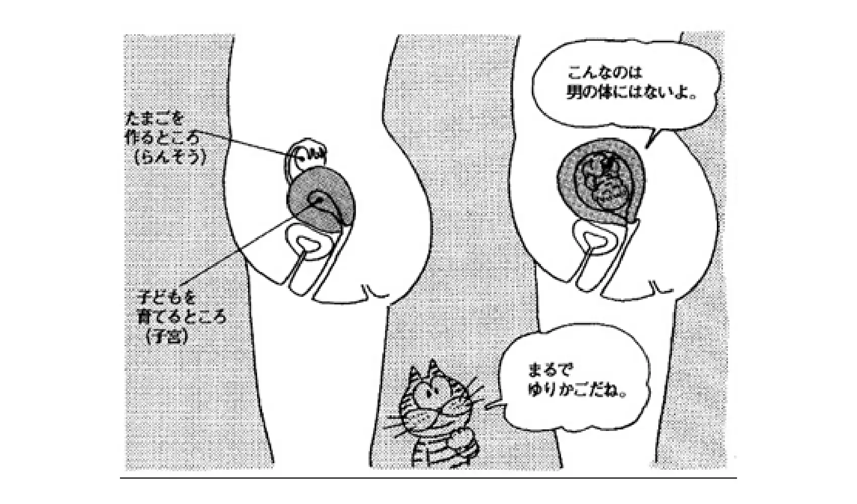 赤ちゃん産む男TikTok