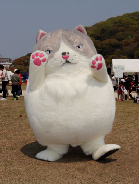 体重500キロ」のエジプト女性、インドで手術へ - BBCニュース