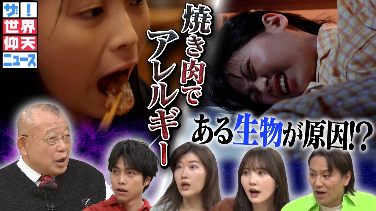 ヤギの表情から「痛み」を読むAI 動物医療を変える新技術の最前線松尾靖隆