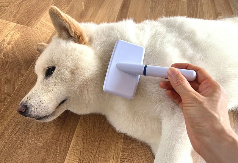 知らなきゃ損！ グルーミングとトリミングの違い とは？ – 自宅出張トリミング「ホームトリマー」