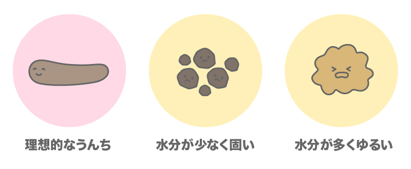 ウンチをチェックしよう ＜猫＞みんなのどうぶつ病気大百科