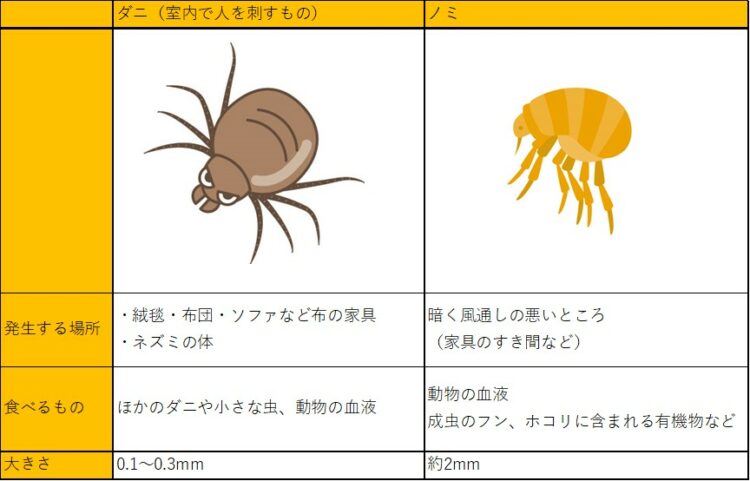猫がノミに刺されたときの症状とは？アレルギーや貧血のリスクに注意ぽちたま薬局スタッフブログ