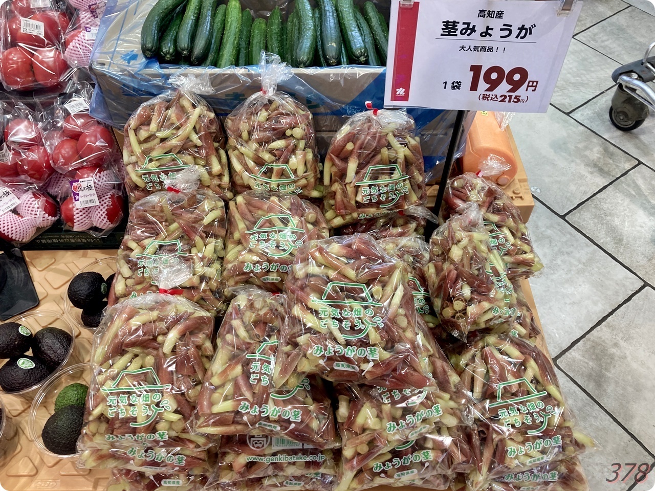 KATEKYO学院山形 ミョウガを食べると物忘れに?KATEKYO学院山形