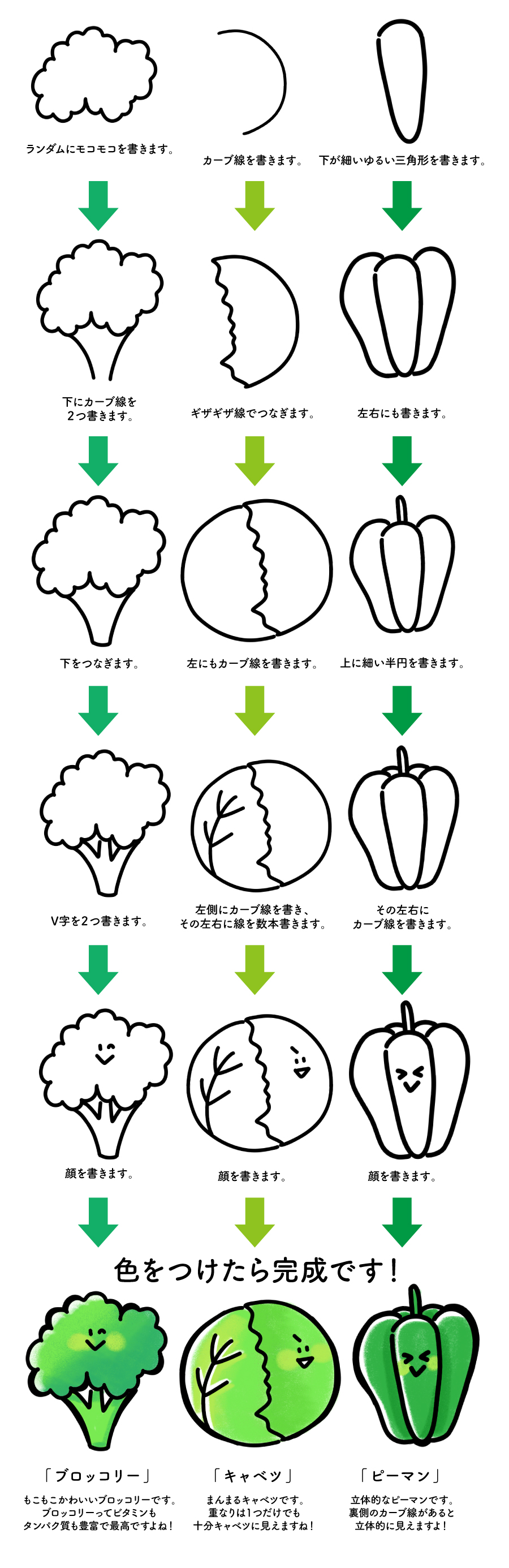 冬野菜イラスト・冬野菜と柚子手描きイラスト