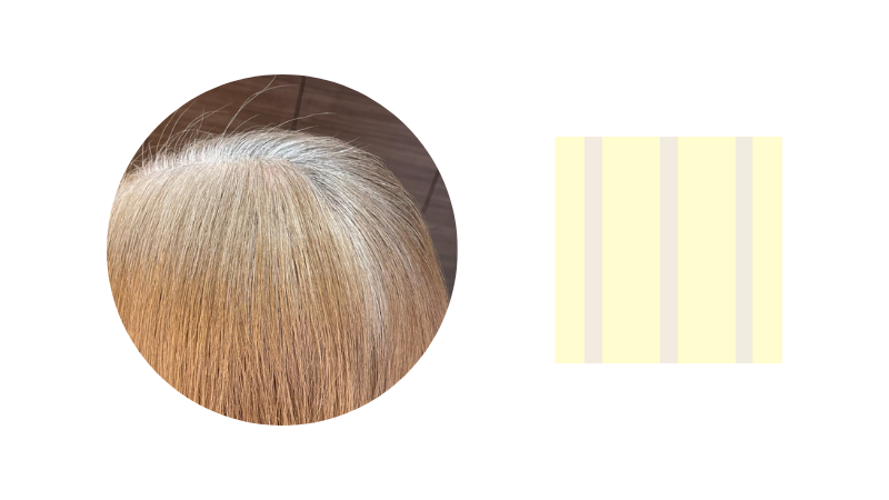 白髪が目立たない 40代以上の大人女性にオススメなハイライトとは？横浜の完全個室美容室 ASTA ＊ hair salon