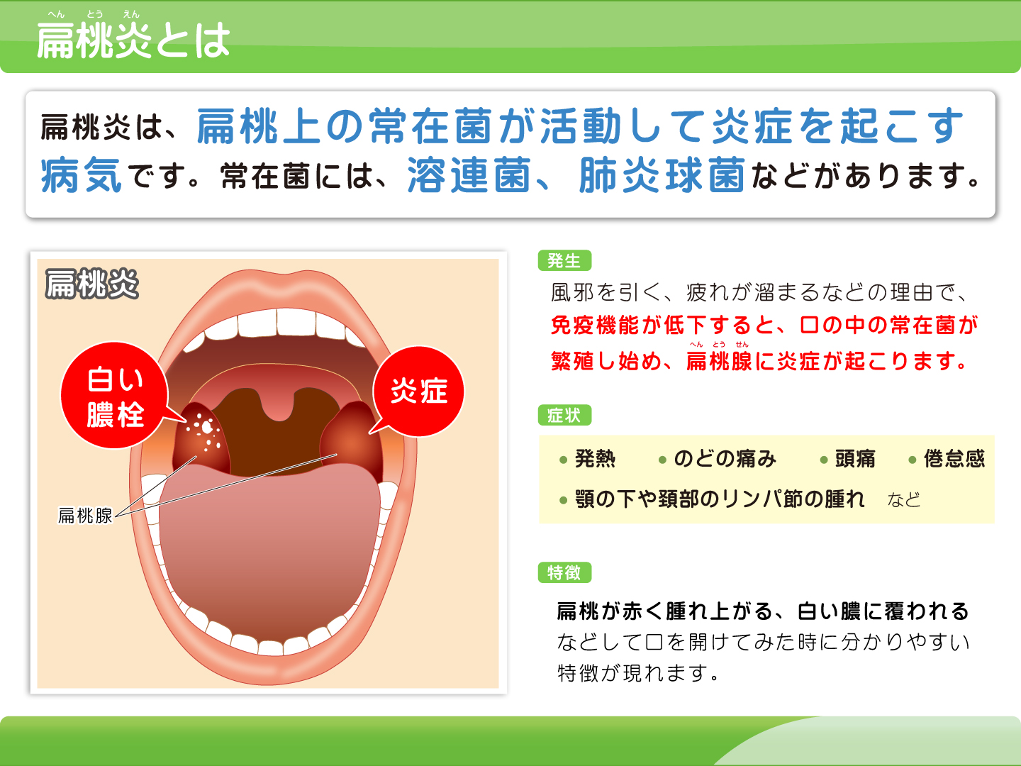 口腔・咽頭の病気一般社団法人 日本耳鼻咽喉科頭頸部外科学会