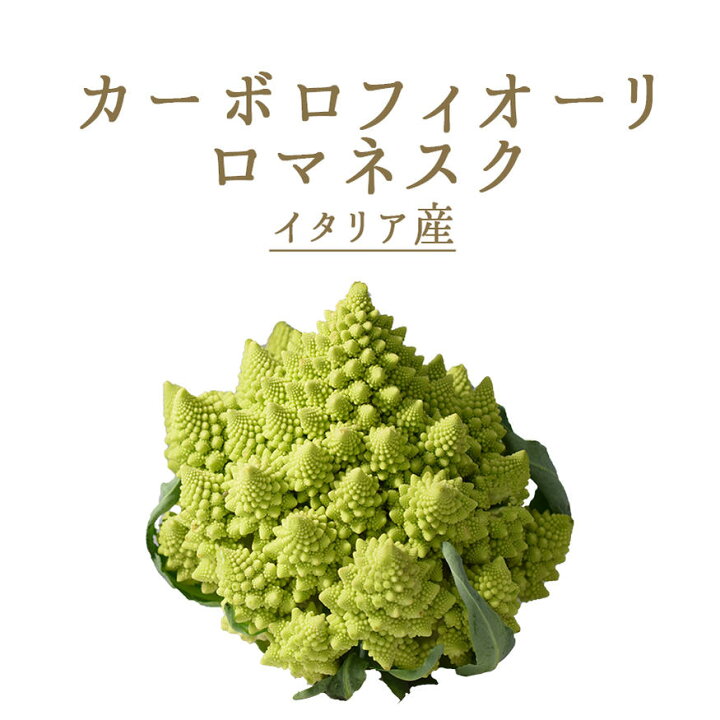 丸石ビルディング】希少な近世ロマネスク様式、館内特別ツアー【東京建築祭】 | 集合場所：丸石ビルディング 中2階会議室