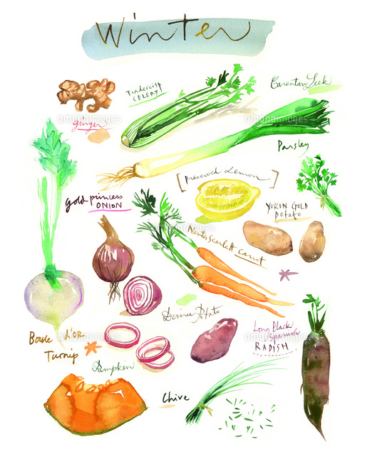 ゆる野菜・冬の上下ライン：イラスト無料