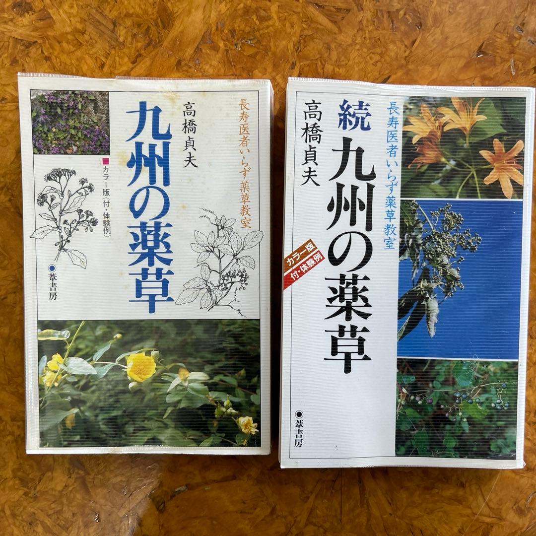 これが医者いらずの薬草なの？ 小さな赤い５弁花 －ゲンノショウコ 現の証拠 －この花の名前なんていうの