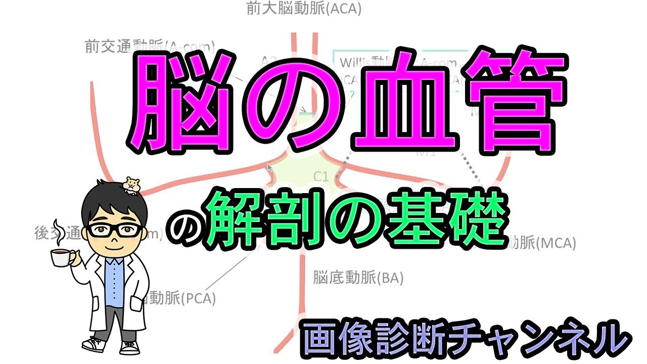 大脳動脈輪 – HiSoUR 芸術 文化 美術 歴史